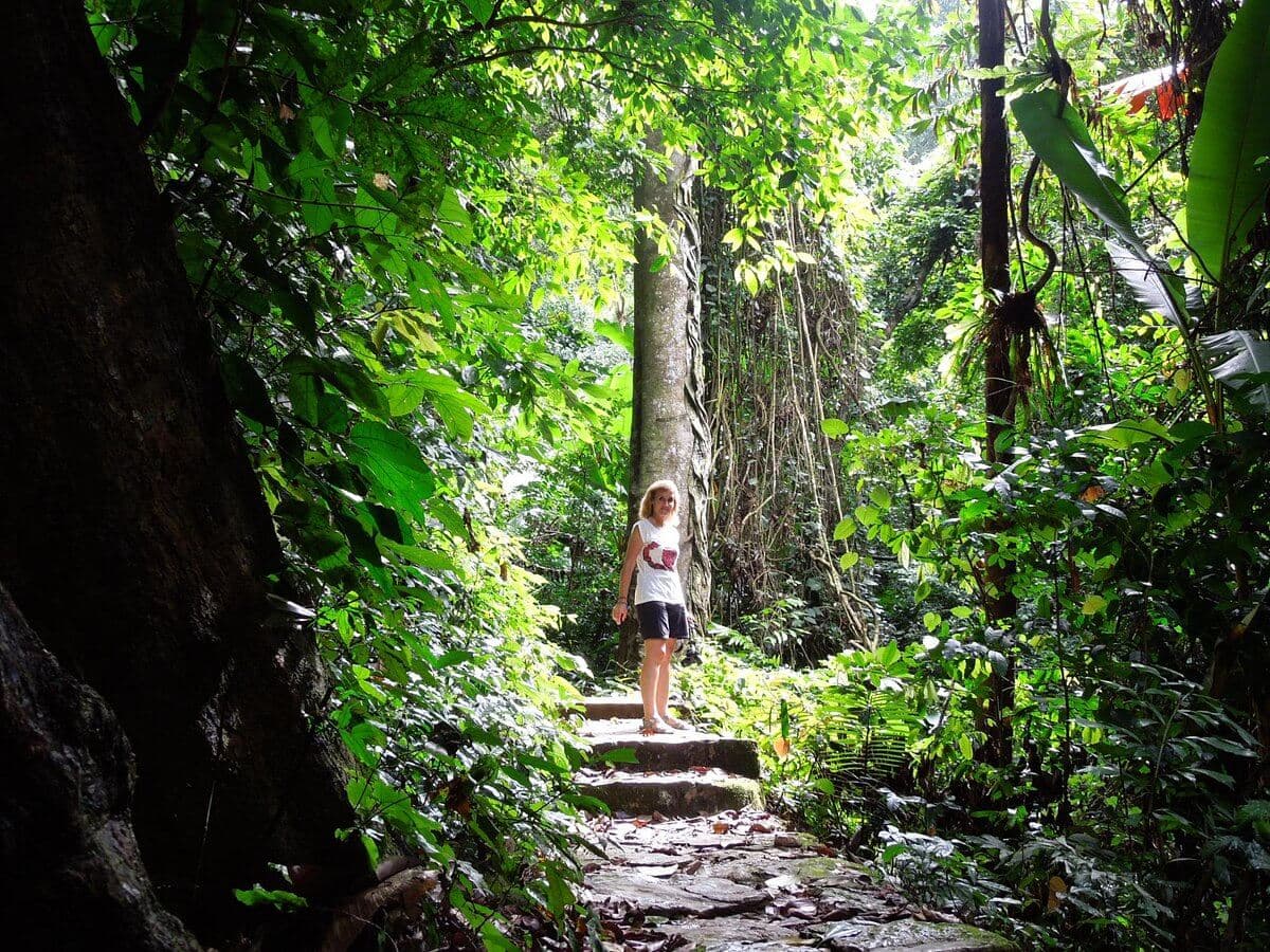 Cuc Phuong National Park Ninh Binh Trekking