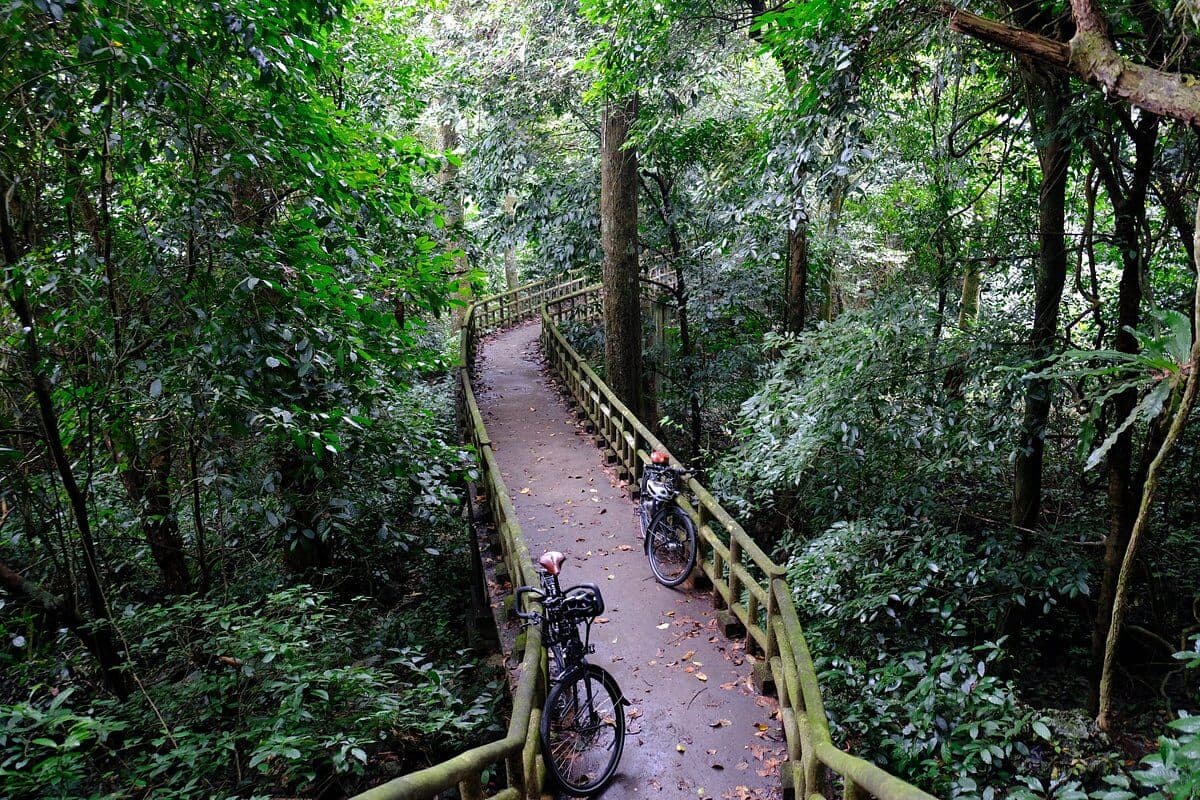 Cuc Phuong National Park Ninh Binh - Cycling Path