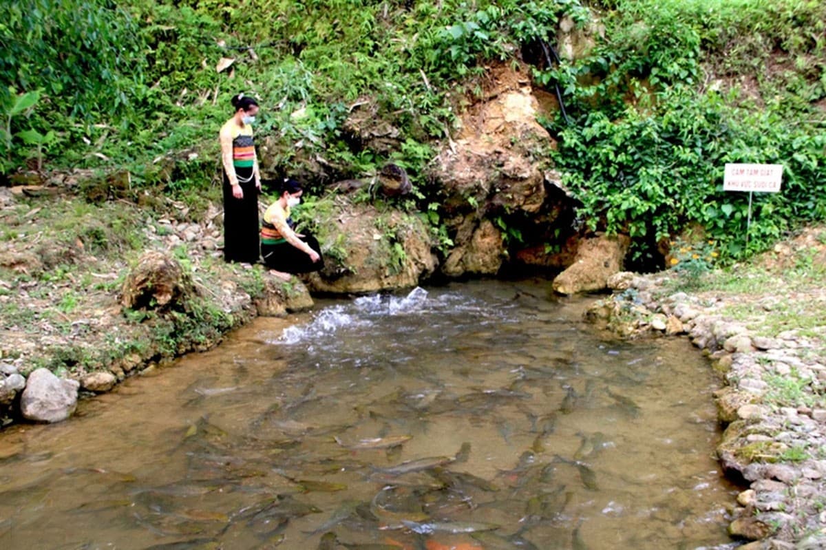 Muong ethnic people living around Cam Luong Fish Stream