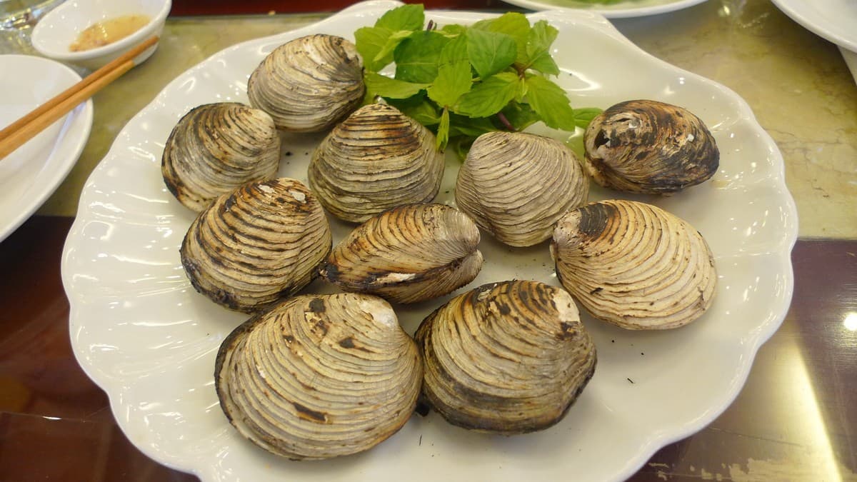 Best Local Food in Halong Bay - Ngan (Austriella Corrugata)
