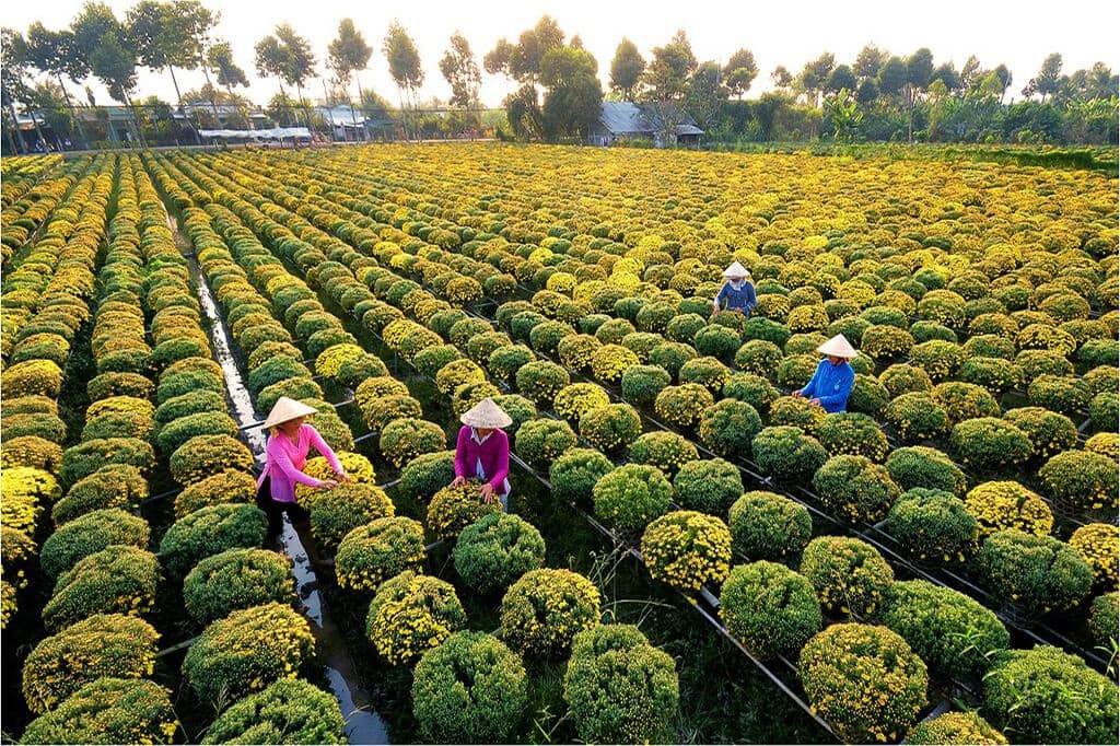 Mekong Delta Travel Guide: Top-Rated Destinations - Sa Dec Village