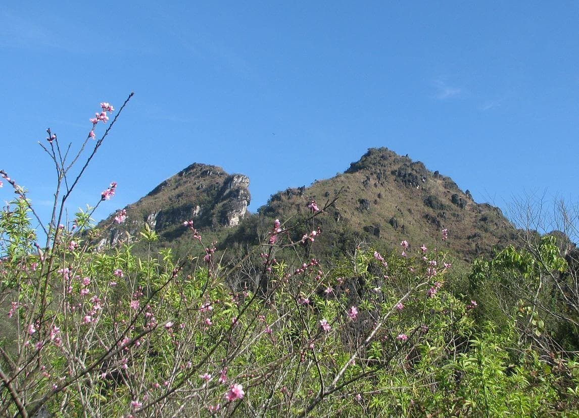 Sapa Travel Guide: Must-Visit Destinations - Ham Rong Mountain