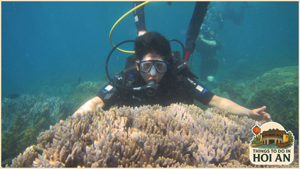 Things to Do in Hoi An - Snorkelling in Cham Islands