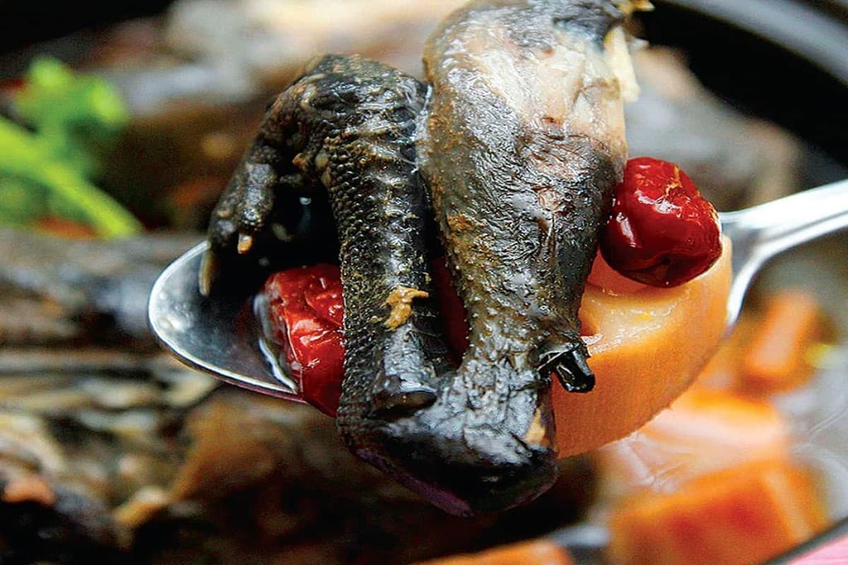 Local Dishes in Sapa - Ga Ac (Black Chicken)