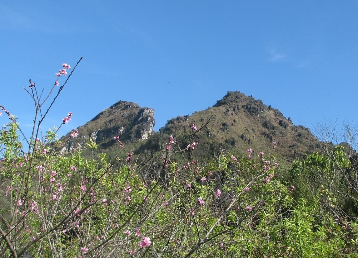 Tourist Attractions in Sapa - Ham Rong Mountain