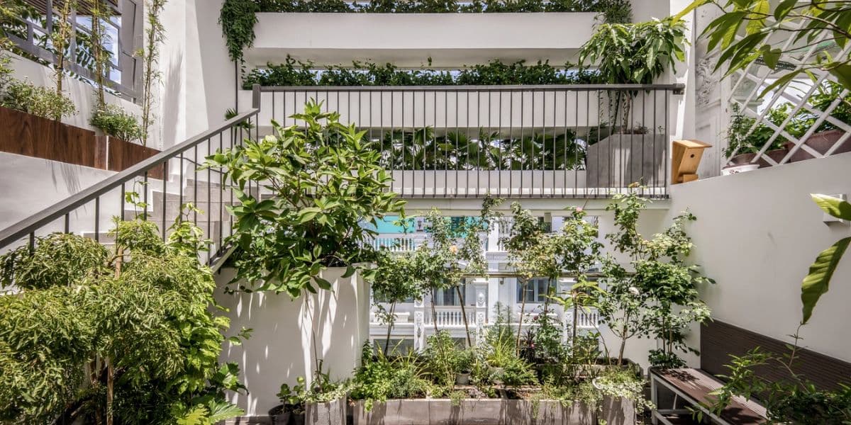 House in Vietnamese Architecture as Harmony