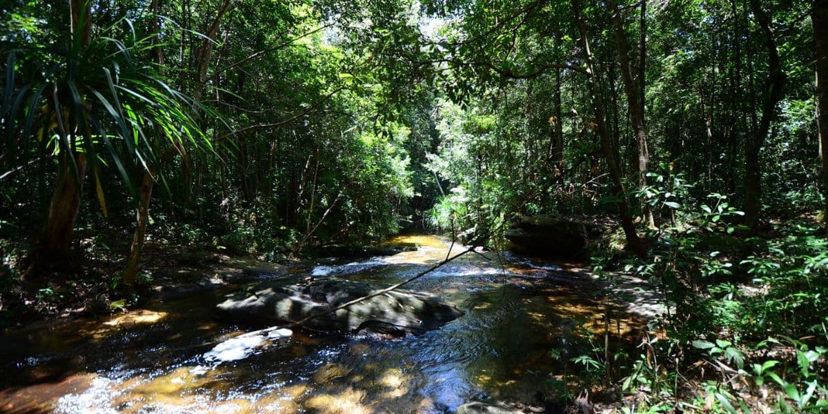Vinpearl Phú Quốc Phu Quoc National Park