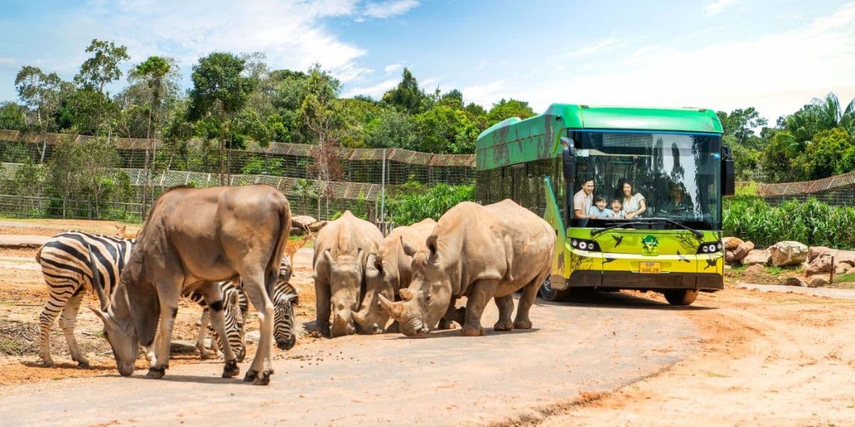 Vinpearl Phú Quốc Vinpearl Safari