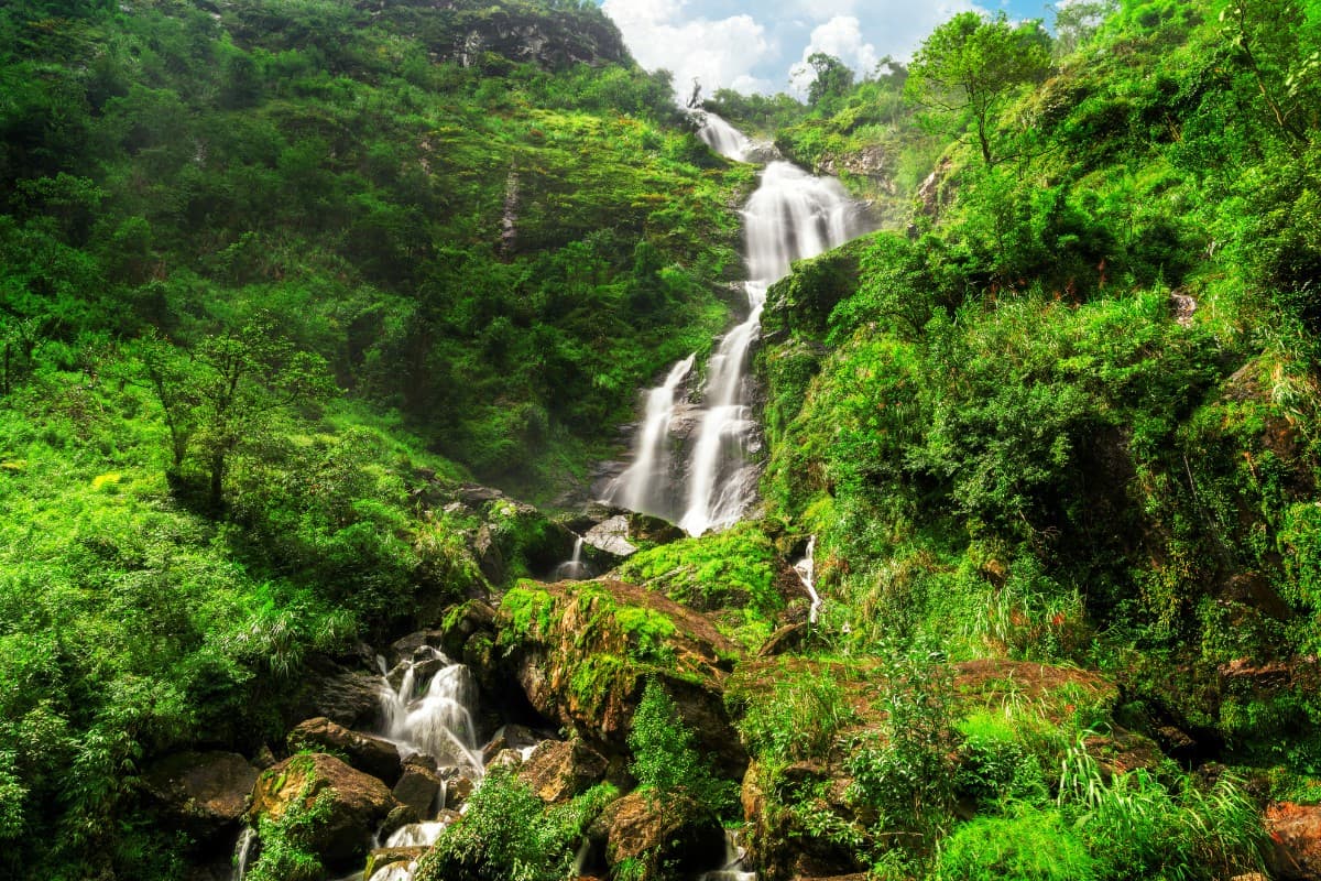 Flora and fauna surrounding Love Waterfall are diverse and vibrant