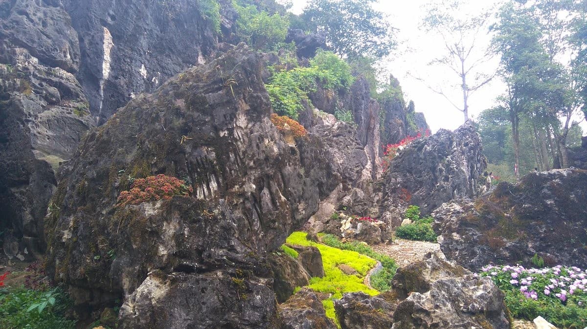 Ham Rong Mountain Stone Forest