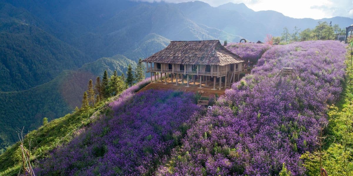 Landscapes of Muong Hoa Valley
