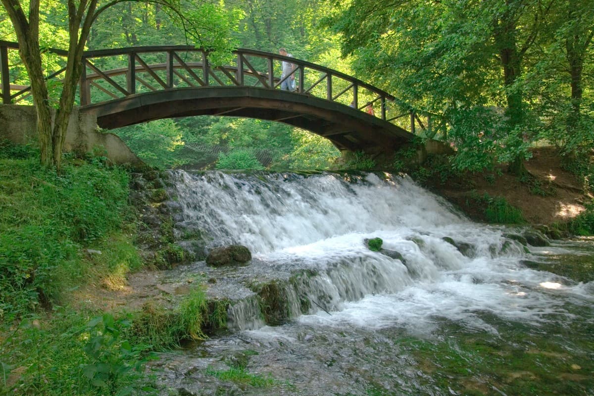 Love Waterfall Diverse vegetation covers the landscape