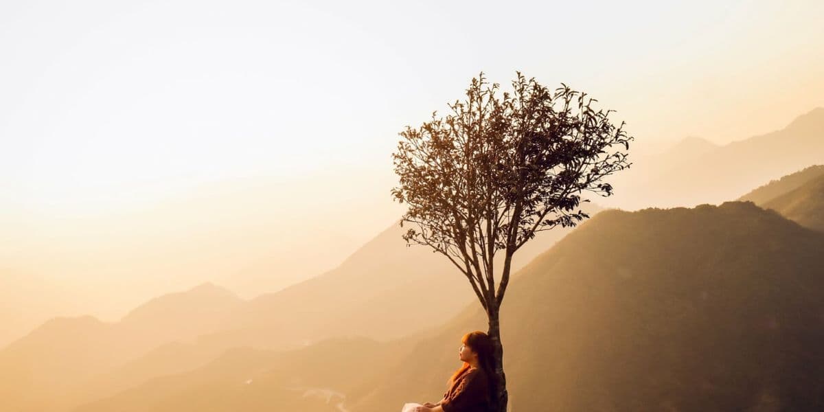 O Quy Ho Pass The Lonely Tree