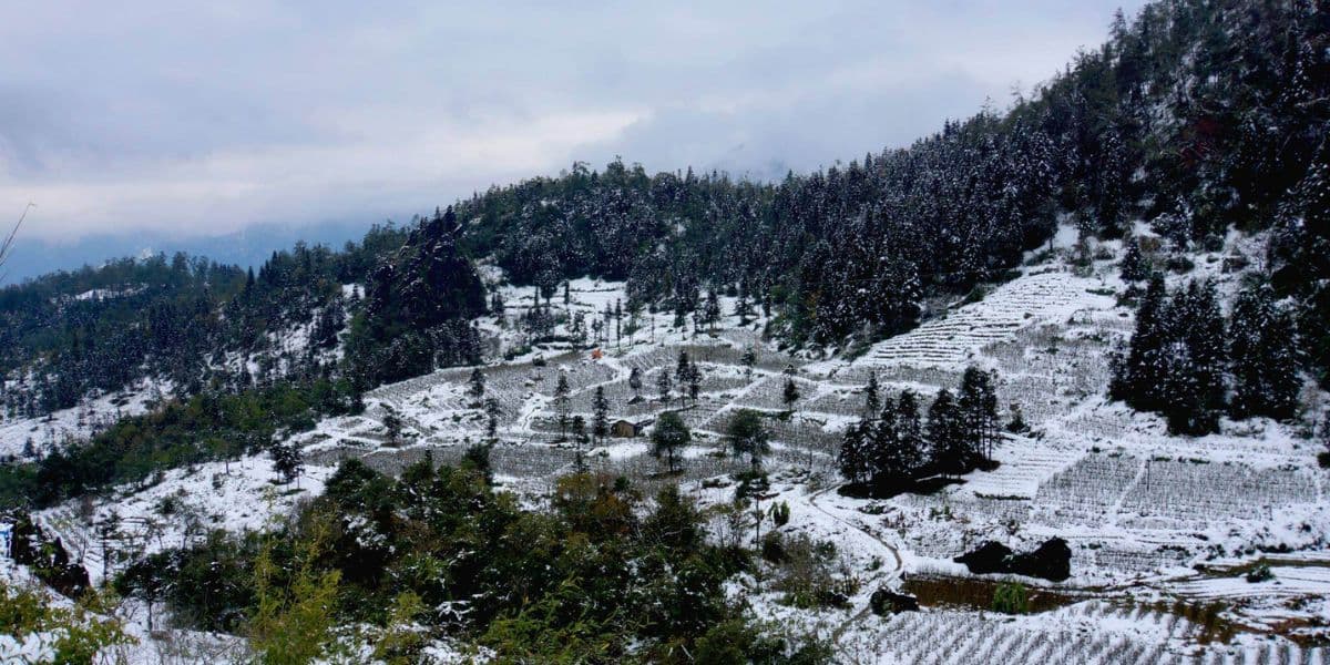 Sapa Vietnam Snow Ham Rong Mountain