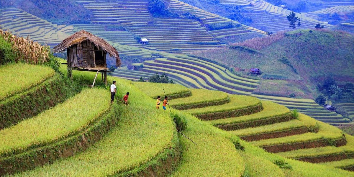 Sapa trekking Sapa Rice Terraces