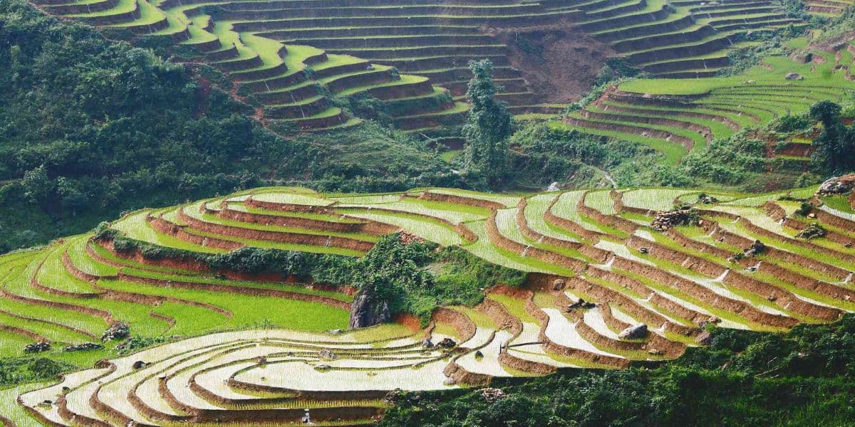 Sapa trekking Sustainable Trekking Practices