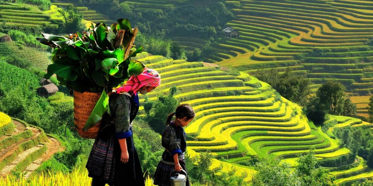 Travel Tips to Ta Van Village