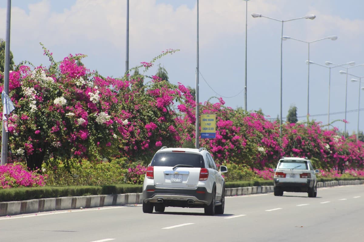 Ho Chi Minh City to Vung Tau Practical tips to get to Vung Tau