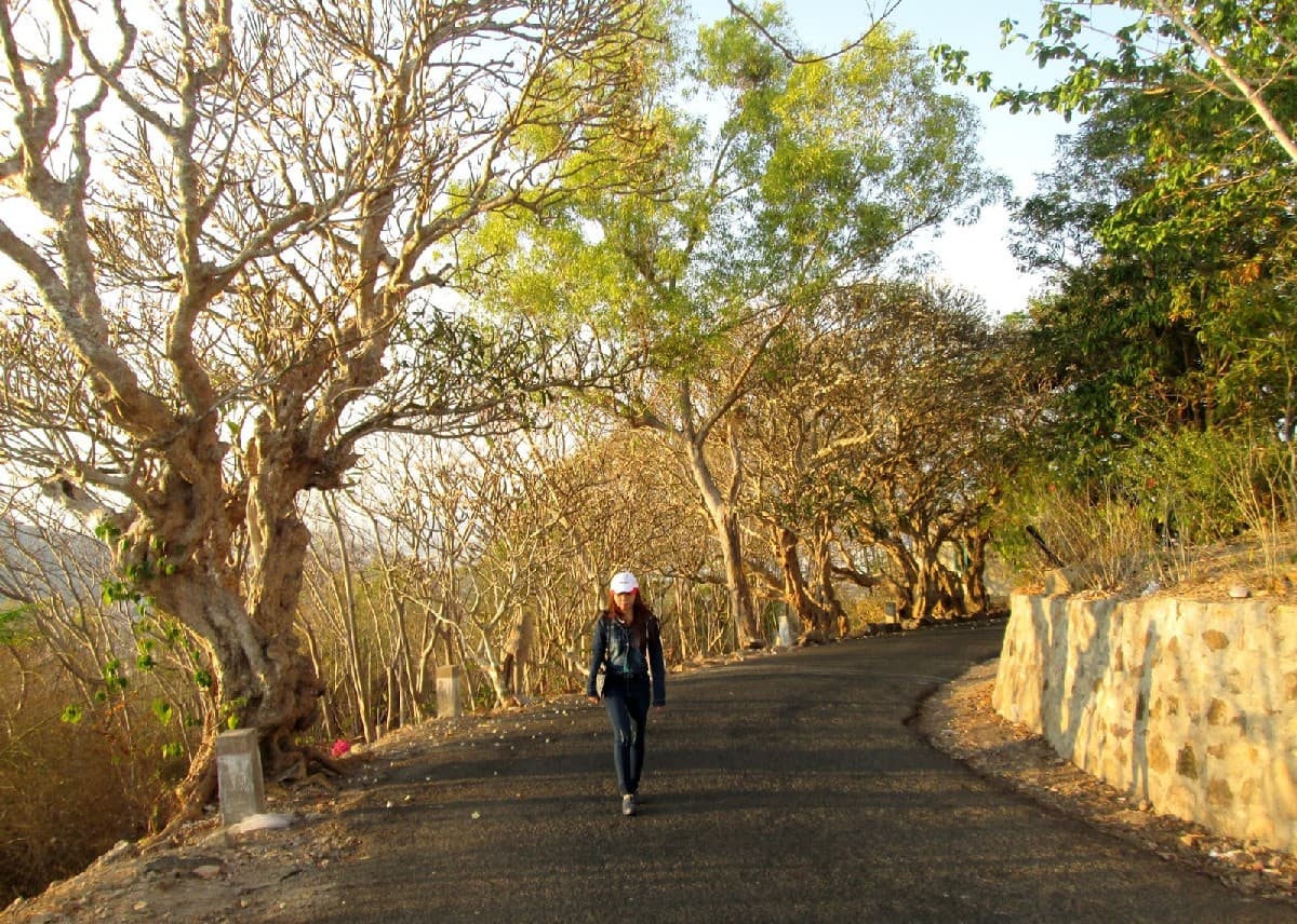 Small Mountain Vung Tau Road to Vung Tau Lighthouse