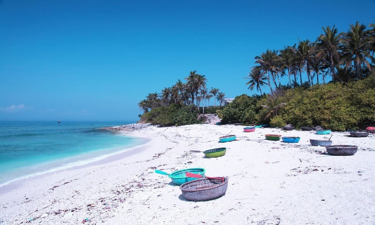 Vung Tau Beach Pineapple Beach