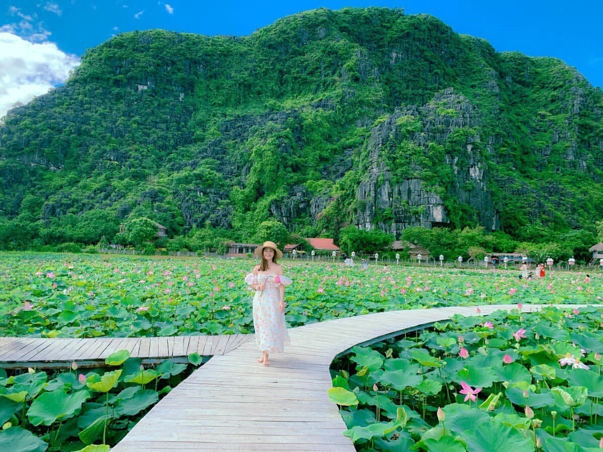 Mua Caves Ninh Binh Lotus Pond