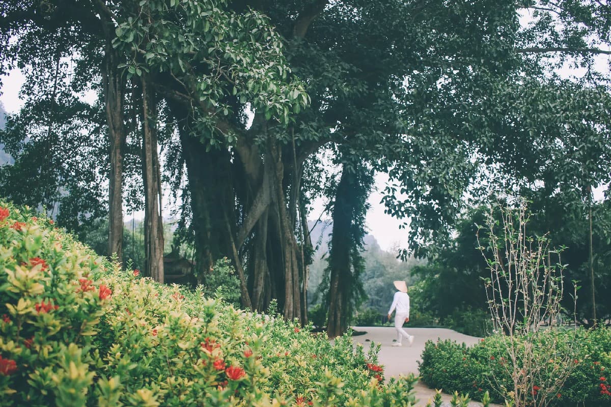 Notes for visitors to Thung Nham Bird Park