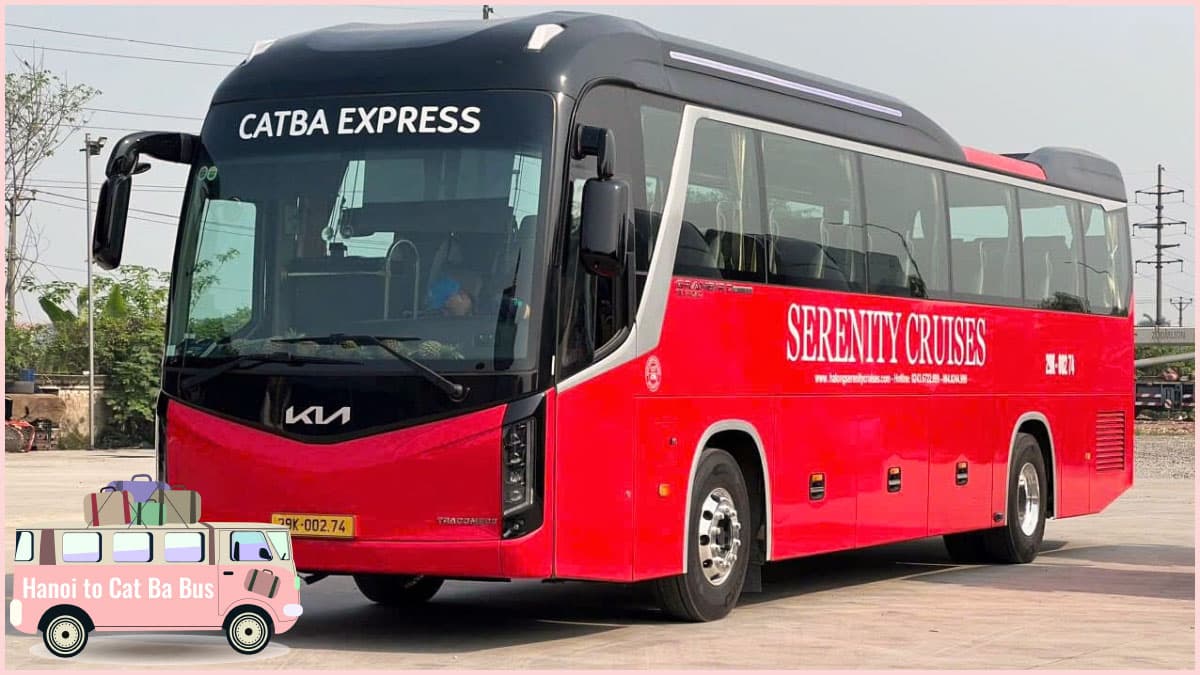 Hanoi to Cat Ba Bus - Cat Ba Express
