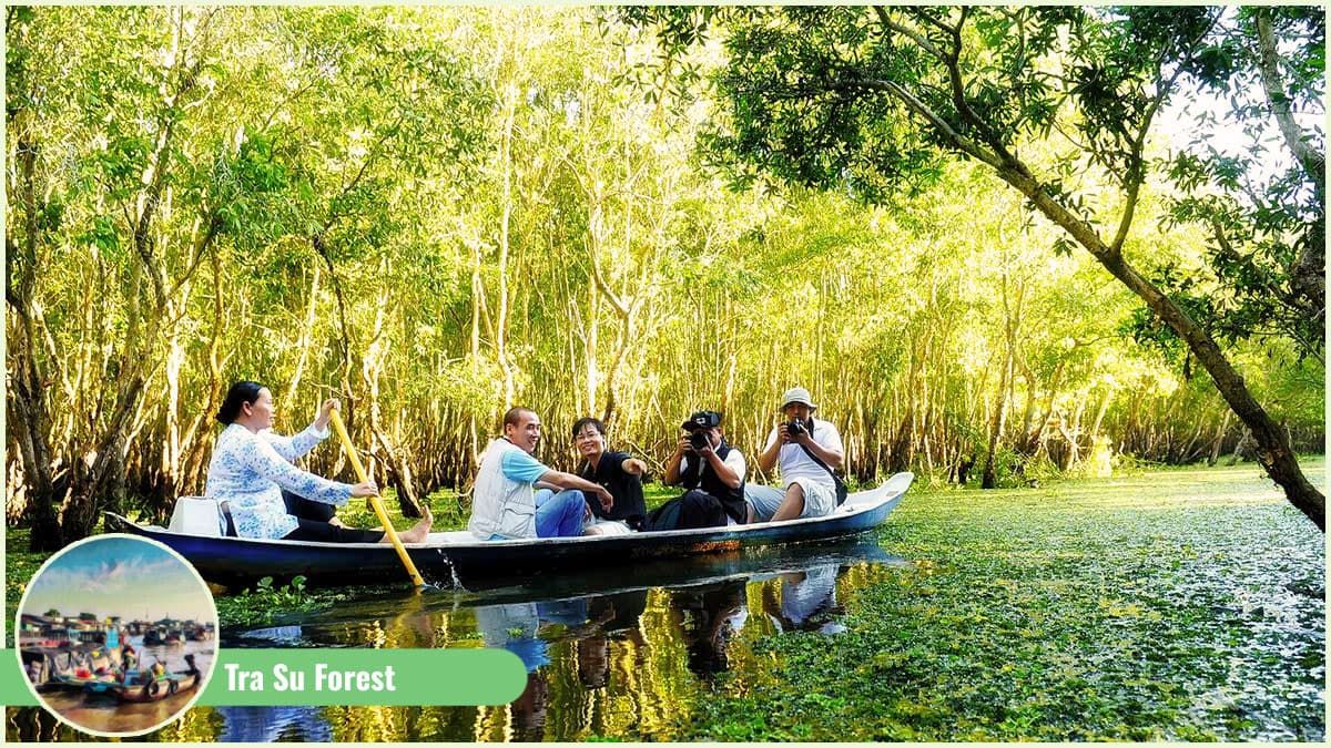 Along Mekong River - Tra Su Mangrove Forest