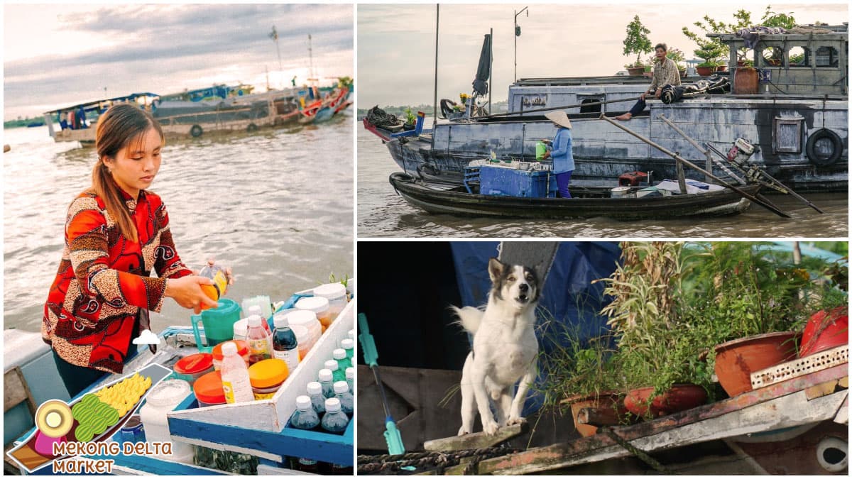 Best Time to Visit Mekong Delta Market