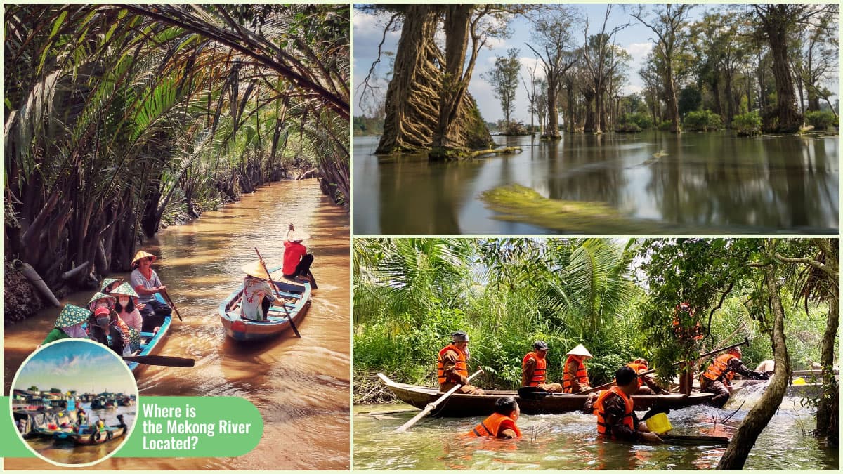 Beyond “Where Is the Mekong River Located” - Ecological Importance