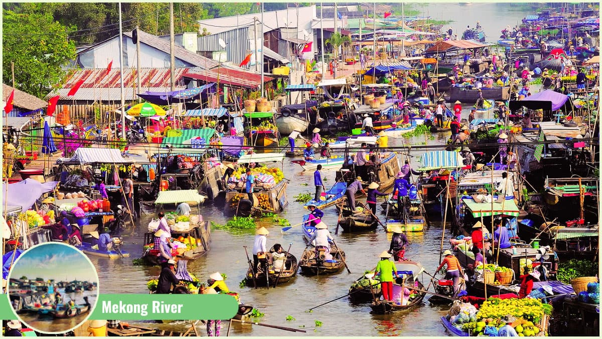 Floating Markets on the Mekong River