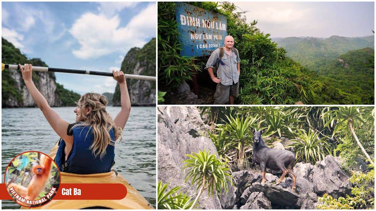 Vietnam National Park - Cat Ba National Park
