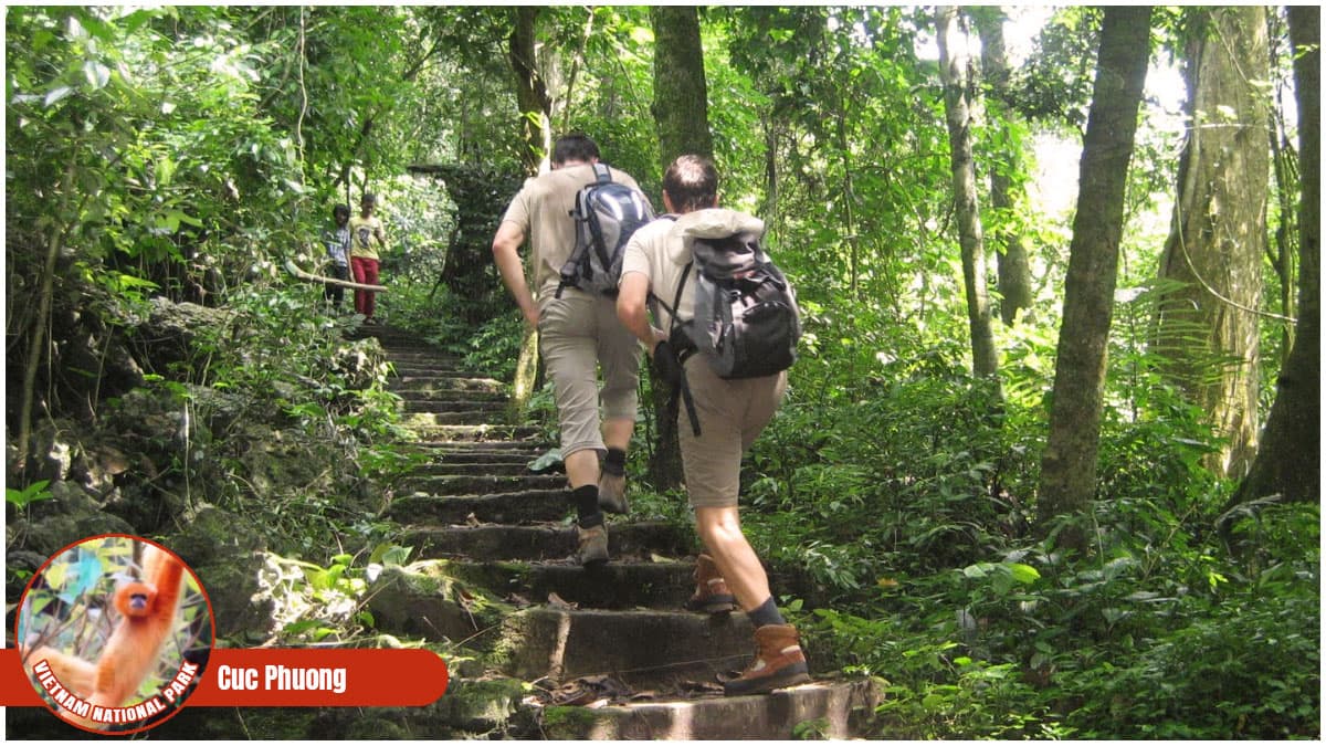 Vietnam National Park - Cuc Phuong National Park