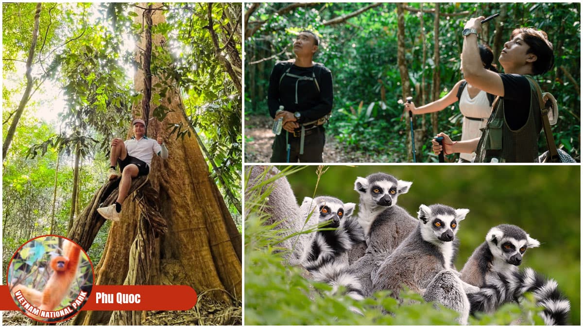Vietnam National Park - Phu Quoc National Park