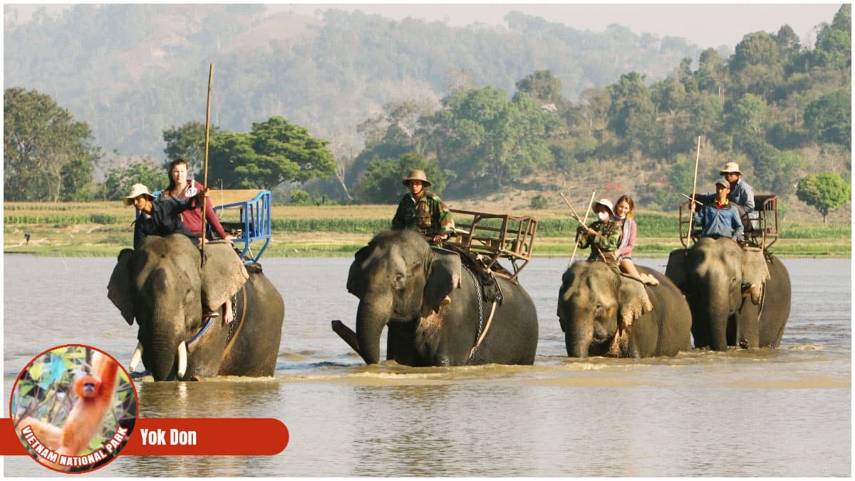 Vietnam National Park - Yok Don National Park