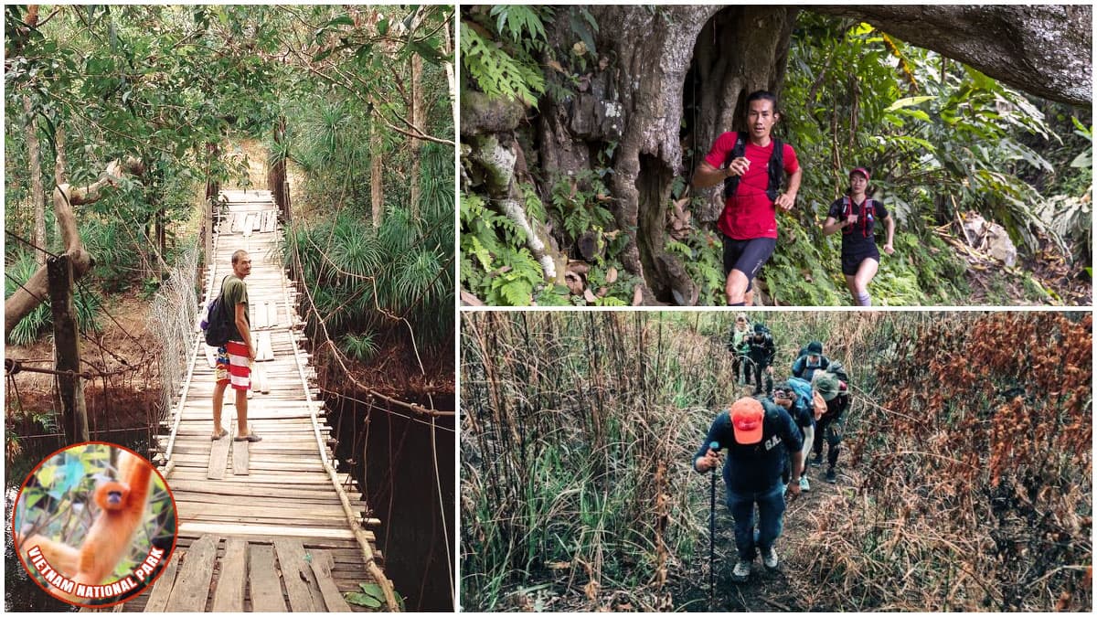 14 Vietnam National Park Wonders: Best Journey for Trekkers