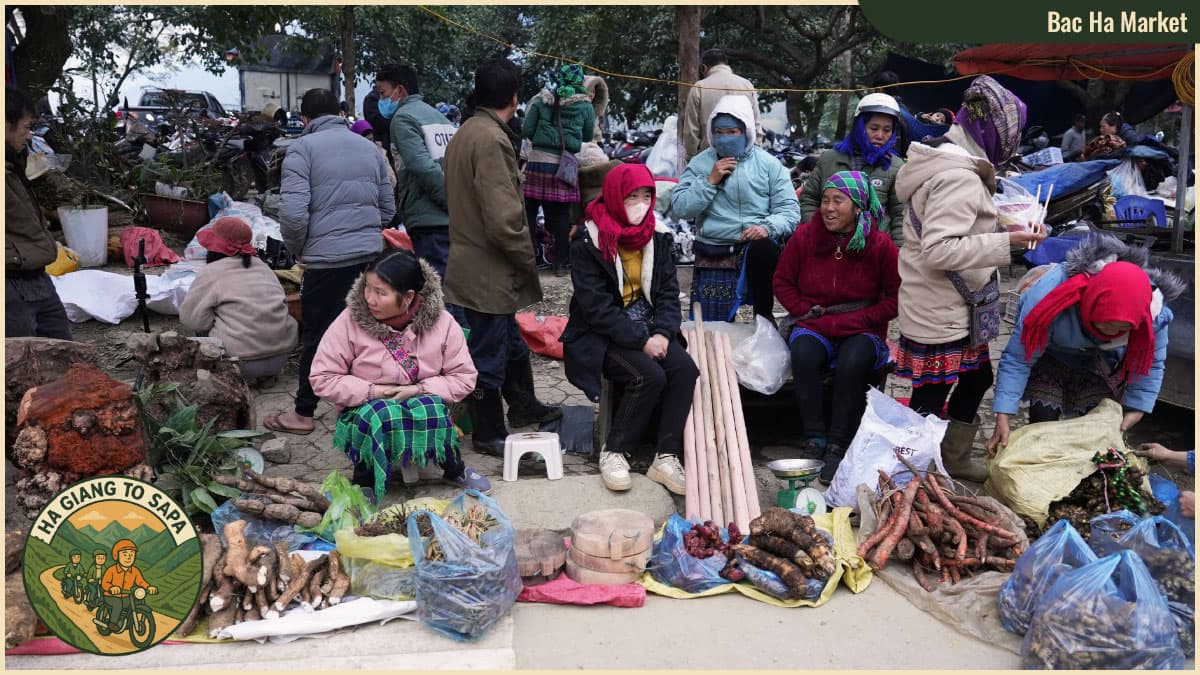 Spots from Ha Giang to Sapa - Bac Ha Market