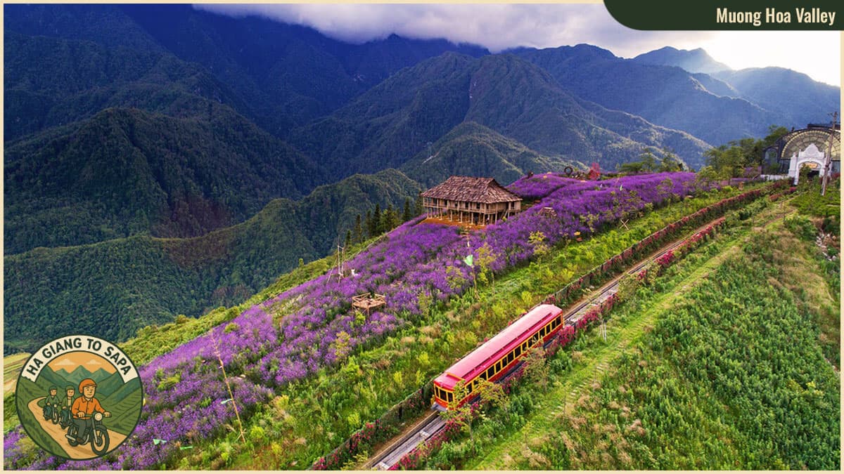 Spots from Ha Giang to Sapa - Muong Hoa Valley