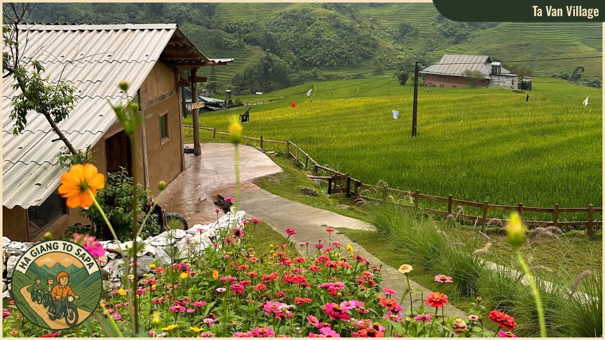 Spots from Ha Giang to Sapa - Ta Van Village