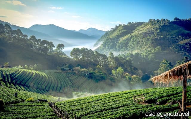 Highlights of Chiang Mai and Chiang Rai 4 Days 3 Nights Chiang Mai 01