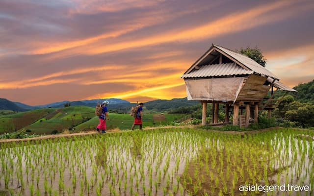 Highlights of Chiang Mai and Chiang Rai 4 Days 3 Nights Chiang Mai 02