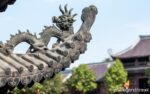 Highlights of Northern Vietnam 5 Days 4 Nights Ninh Binh Ancient dragon roof tiles