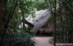 Vietnam Essential Tour 7 Days 6 Nights Cu Chi Tunnels Hut