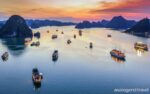 Hanoi Halong Bay or Lan Ha Bay Overnight on Cruise Tam Coc 5 Days 4 Nights Halong Bay Cruise Tour