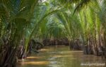 Ho Chi Minh City Cu Chi Tunnels Mekong Delta 4 Days 3 Nights Mekong Delta in Rainy Season