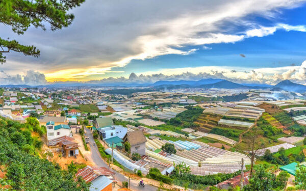 Nha Trang and Da Lat Tour 5 Days 4 Nights