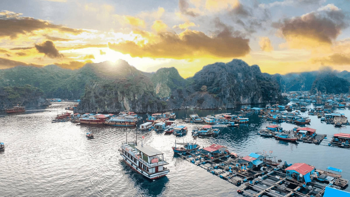 Things to Do in Halong Bay: View the local life and go fishing in floating villages