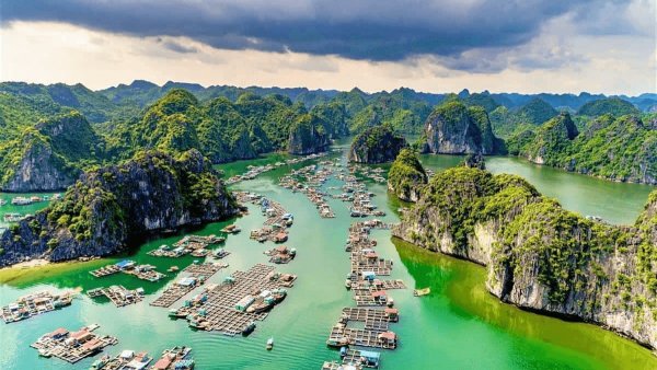 Halong Bay, which means “descending dragon” in Vietnamese, became a UNESCO World Heritage Site in 1994
