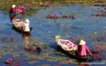 Classic Vietnam Starting from Saigon 10 Days 9 Nights Mekong Delta