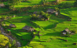 Discover Northwest Vietnam Hanoi Sapa 5 Days 4 Nights